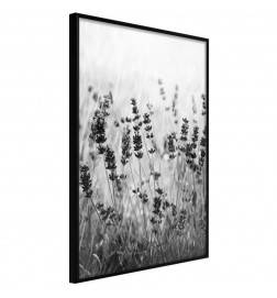 38,00 € Póster - Shadow of Meadow