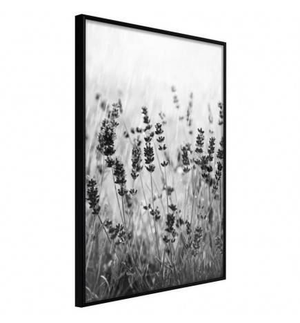 38,00 €Poster et affiche - Shadow of Meadow