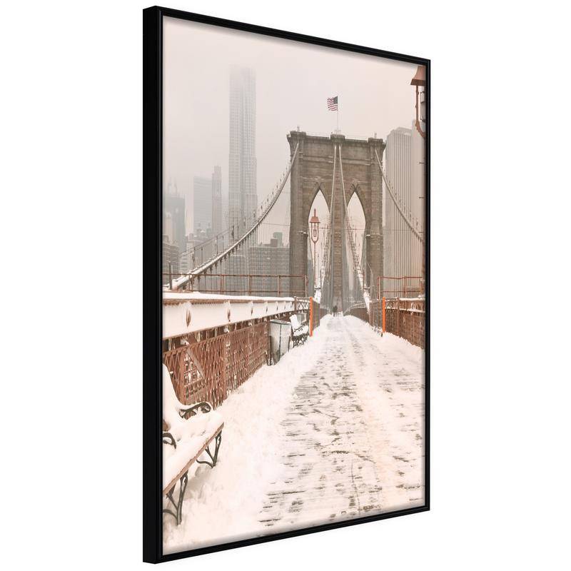 38,00 € Poster - Winter in New York