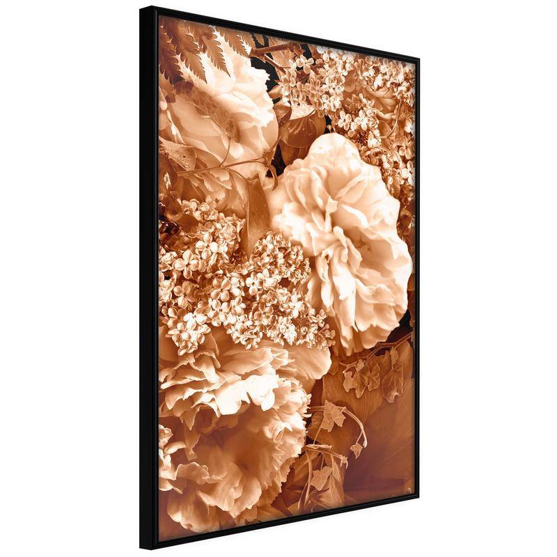 38,00 € Poster - May in Sepia