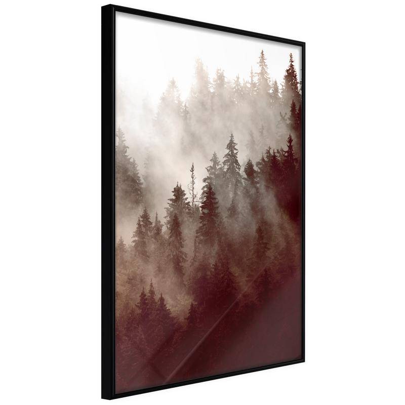 38,00 € Poster - Forest Fog