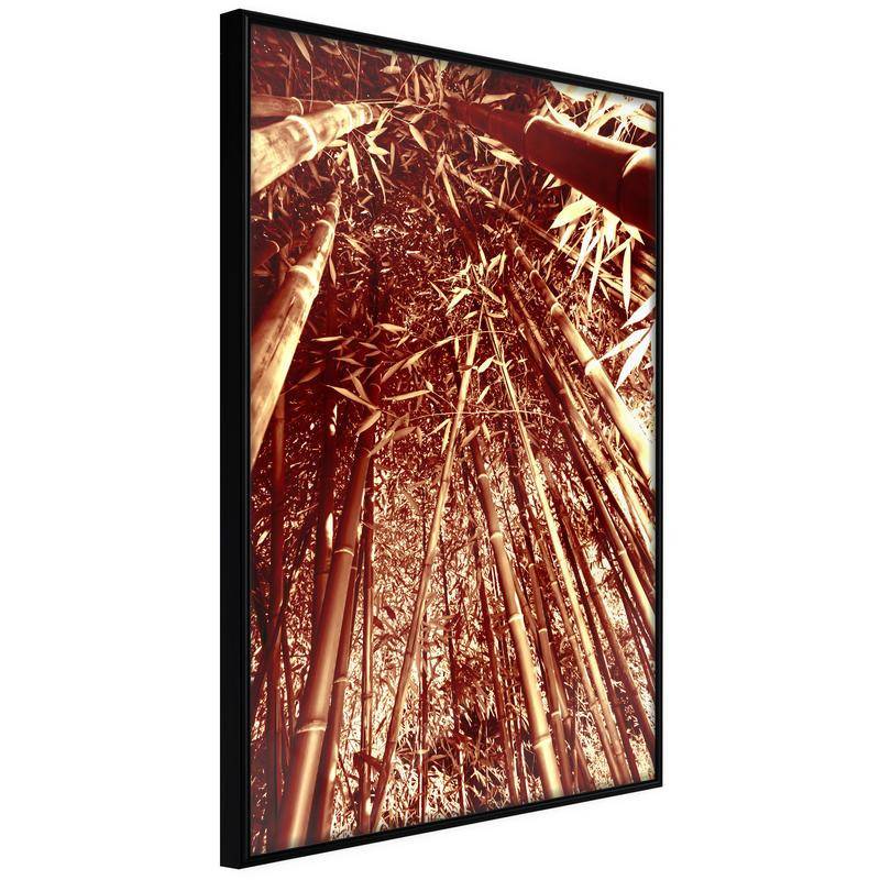 45,00 € Póster - Asian Forest