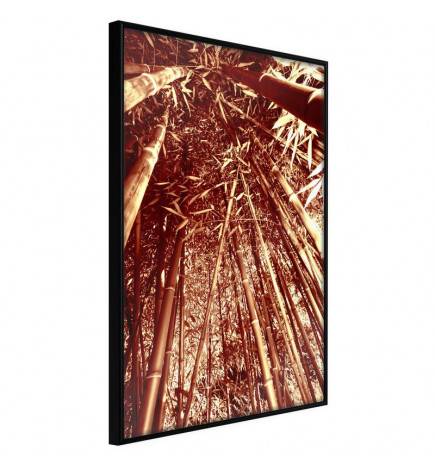 45,00 € Poster - Asian Forest