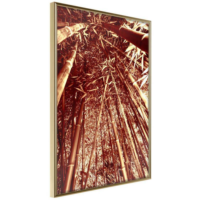 45,00 € Póster - Asian Forest