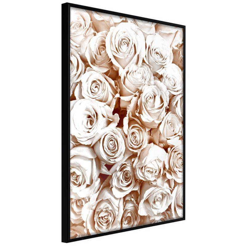 38,00 € Plakatas su daugybe šviesių rožių – Arredalacasa