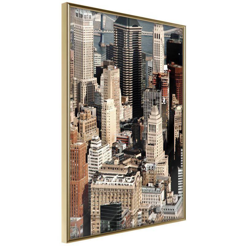 38,00 € Póster - Urban Life