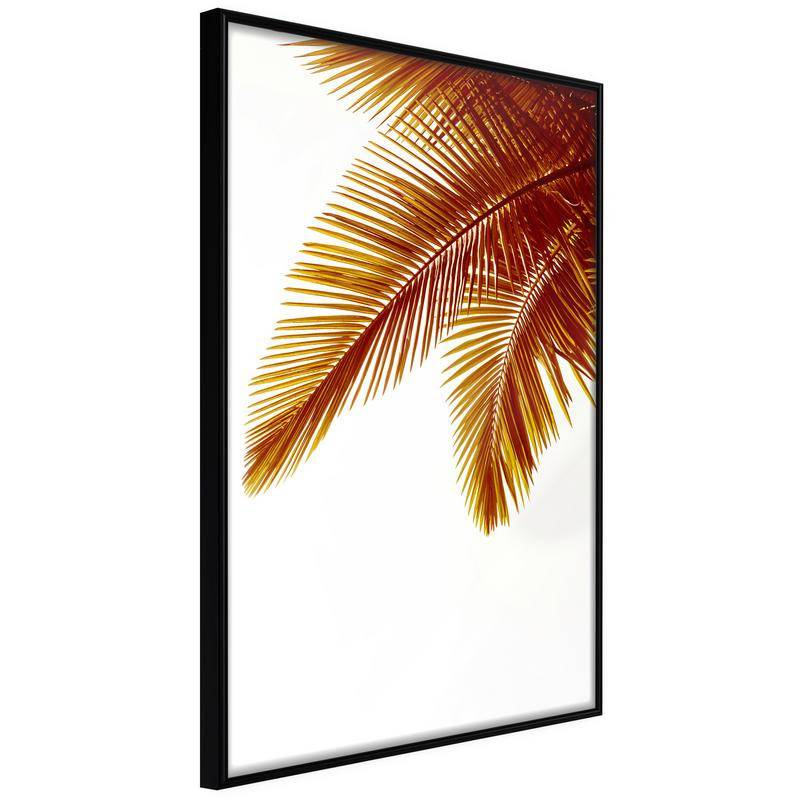 38,00 € Poster met drie bruine palmbladeren, Arredalacasa