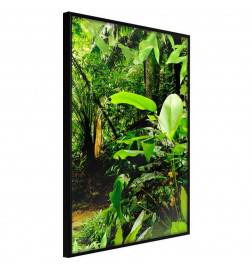 38,00 € Plakat z zelenimi drevesi in listi v gozdu - Arredalacasa