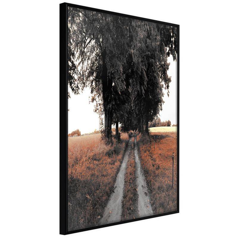 38,00 € Poster - Field Path