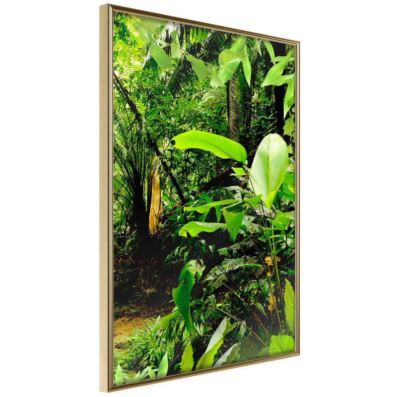 38,00 €Poster et affiche - In the Rainforest