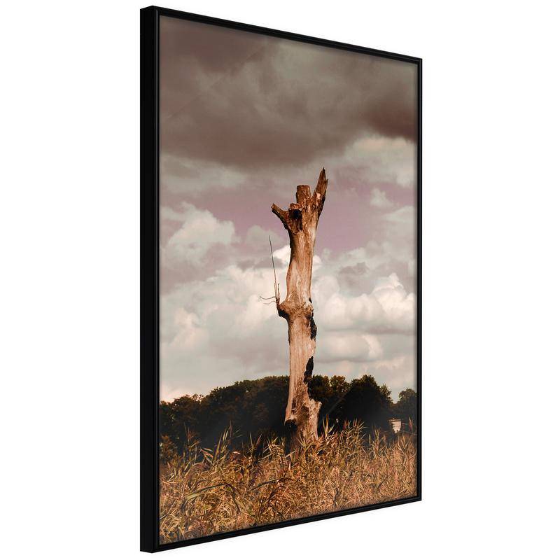 38,00 € Poster - Loneliness in Nature