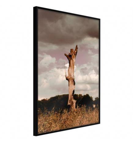 38,00 € Poster cu tronul unui copac - Arredalacasa