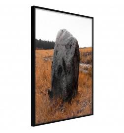 38,00 € Poster met een grote boulder in een veld