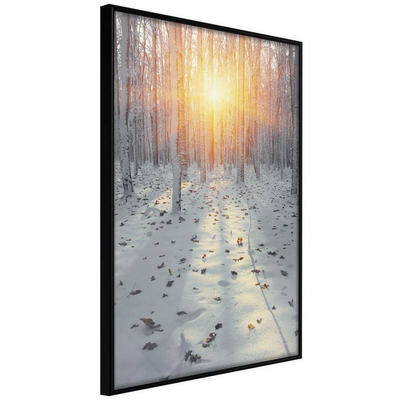 38,00 € Zimski plakat z drevesi in snegom - Arredalacasa