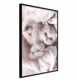 Poster in cornice con un tenero gattino - Arredalacasa