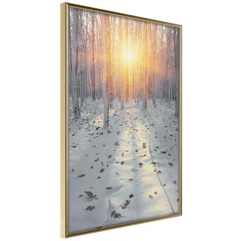 38,00 € Winter poster met bomen en sneeuw