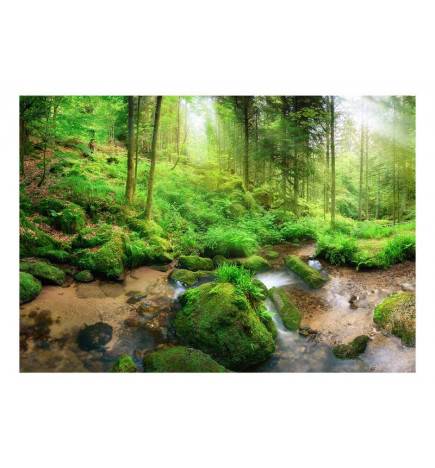 Self-adhesive Wallpaper - Humid Forest