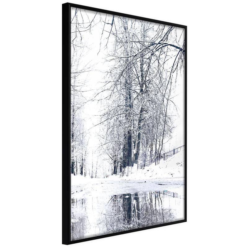 38,00 € Poster - Snowy Park