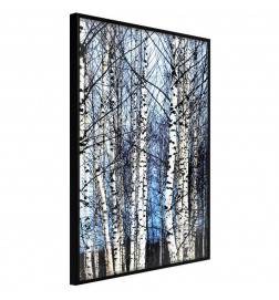 38,00 € Poster - Winter Birch Trees