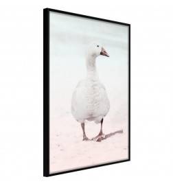 38,00 € Poster - Walking Goose