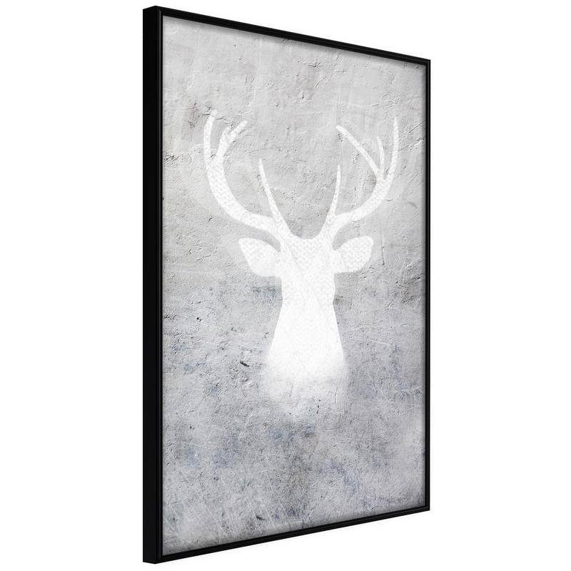 38,00 € Poster - White Shadow