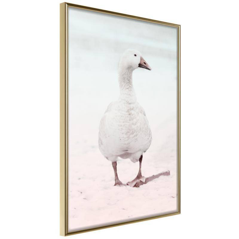 38,00 € Poster - Walking Goose