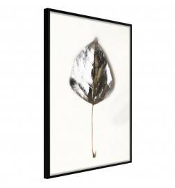 Poster - Silvery Leaf