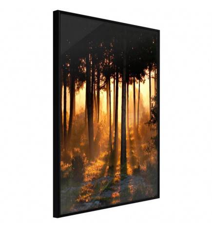 Poster in cornice con gli alberi al tramonto - Arredalacasa
