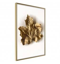 Poster - Dried Maple Leaf