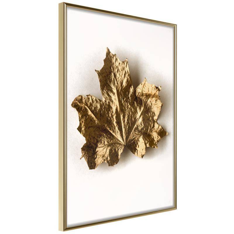 38,00 € Poster - Dried Maple Leaf
