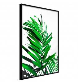 38,00 € Plakāts ar zaļām palmu lapām - Arredalacasa