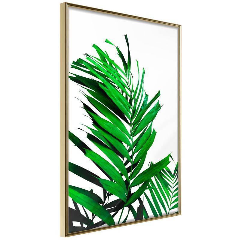 38,00 € Poster roheliste palmi lehtedega - Arredalacasa