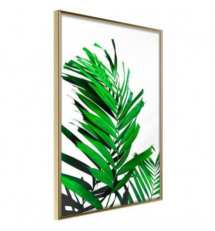 Poster in cornice - foglie di palma verdi - Arredalacasa