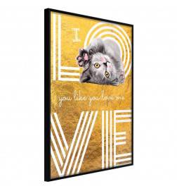 Poster in cornice col gattino innamorato - Arredalacasa
