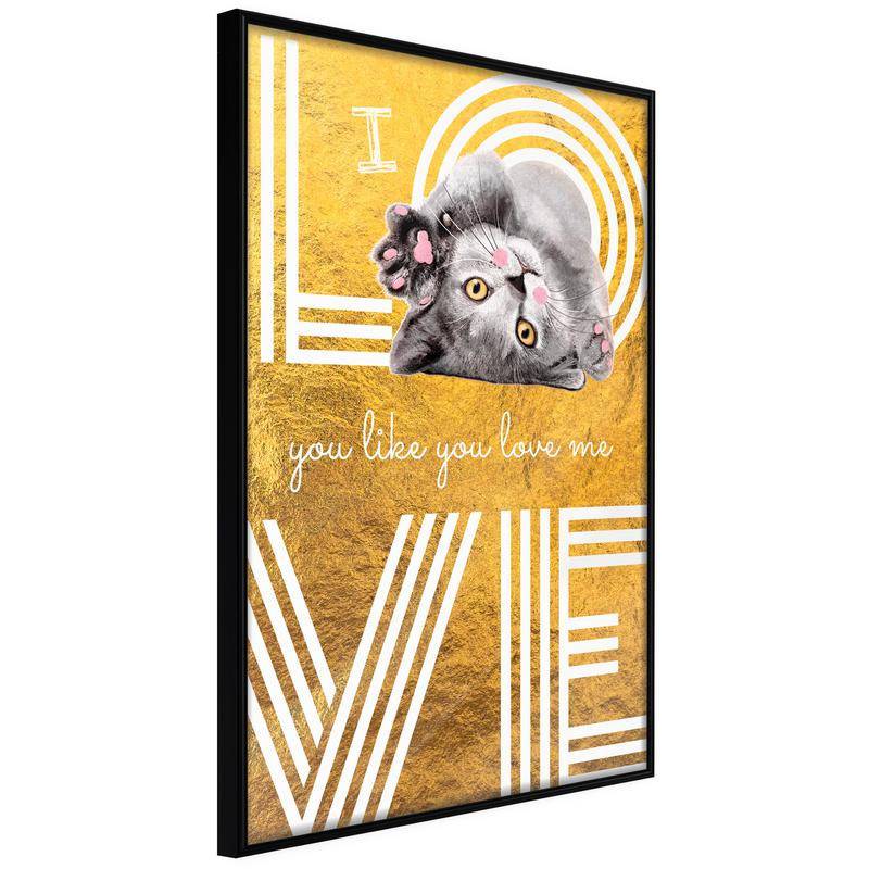 38,00 € Poster - Cat Love