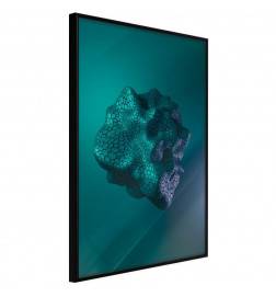 45,00 € Poster - Sea Fossil