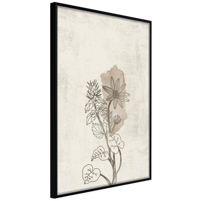 38,00 € Plakat s starinsko cvetlično rastlino - Arredalacasa