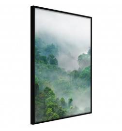 38,00 € Poster in het groene bos met mist