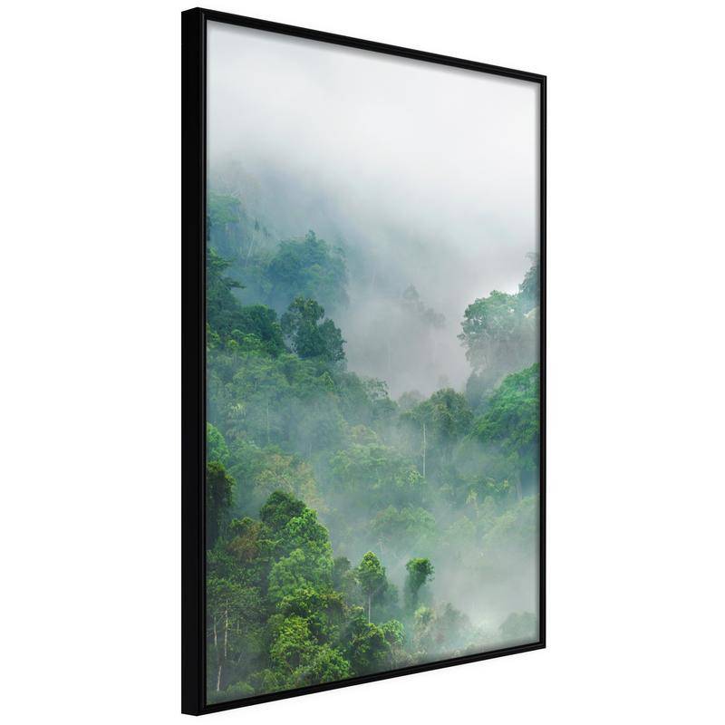 38,00 €Poster in cornice - nella foresta verde con la nebbia