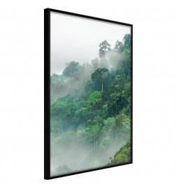 38,00 € Poster in het bos met mist