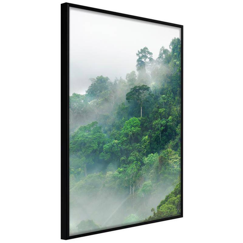 38,00 € Poster - Green Lungs of the Earth II