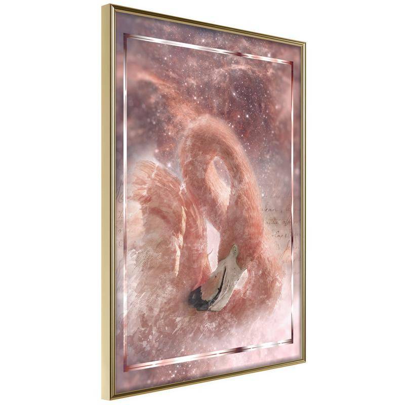 38,00 € Poster met een pelikaan onder de sterren, Arredalacasa