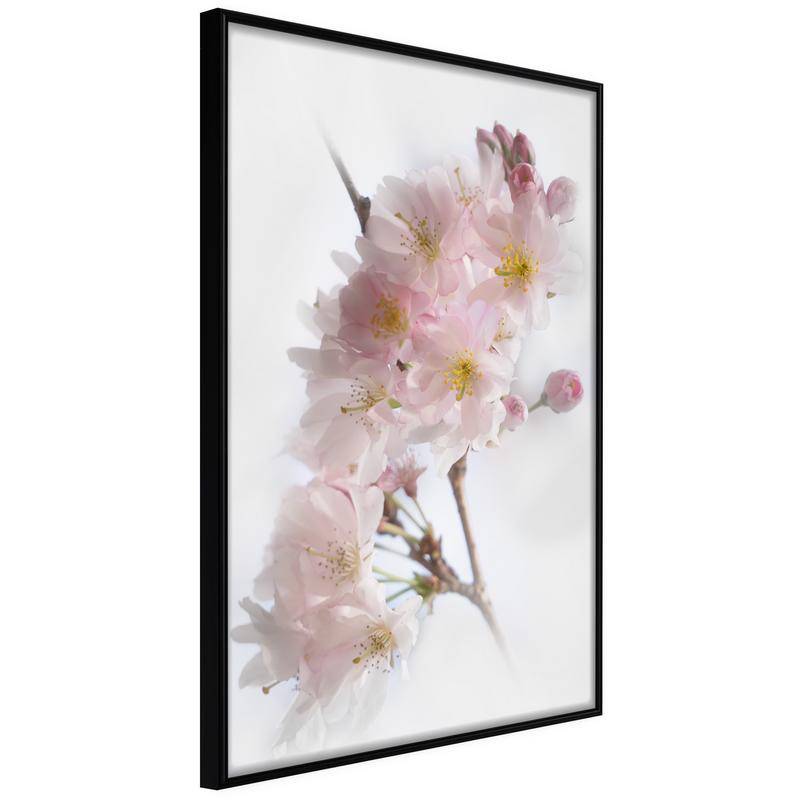 45,00 € Póster - Scent of Spring