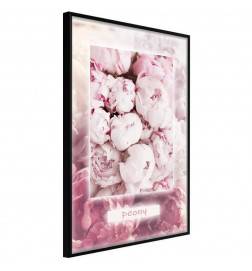 38,00 €Poster et affiche - Scent of Peonies