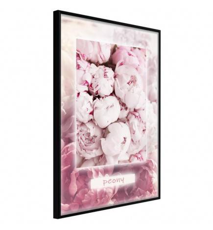 38,00 € Poster - Scent of Peonies