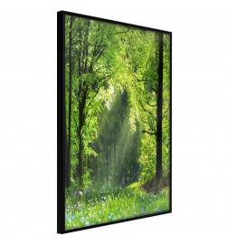38,00 € Póster - Forest Path