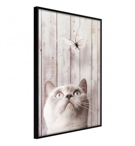 38,00 € Poster met een kat en een vlinder, Arredalacasa