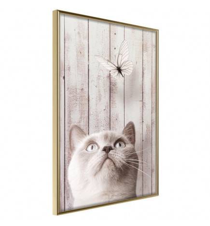 Poster in cornice con la farfalle e il gatto - Arredalacasa