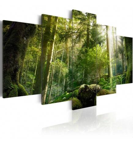 70,90 € Canvas Print - The Beauty of the Forest