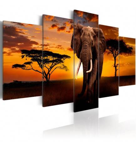 70,90 €Quadro elefante africano cm. 100x50 e 200x100 ARREDALACASA